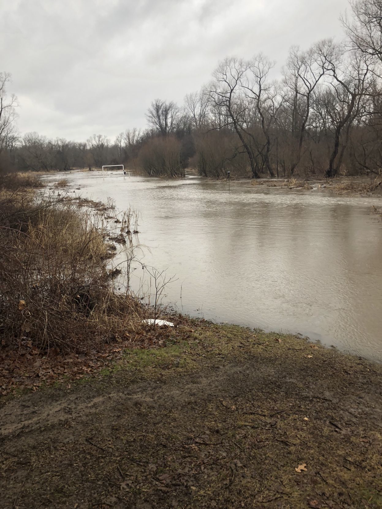Flood
